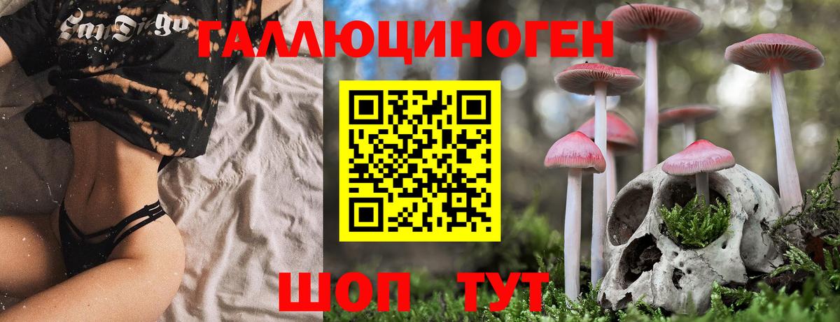 Псилоцибиновые грибы GOLDEN TEACHER  Псилоцибиновые грибы Magic Shrooms  Вход с VPN  Стрежевой 